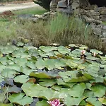 Vale Pisco Holiday home *