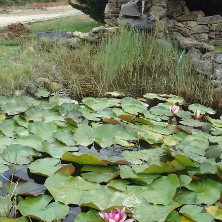 Vale Pisco Nyaraló *