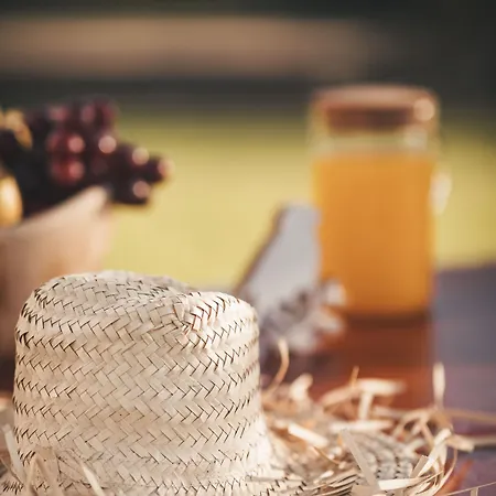 Nyaraló Vale Pisco Bombarral