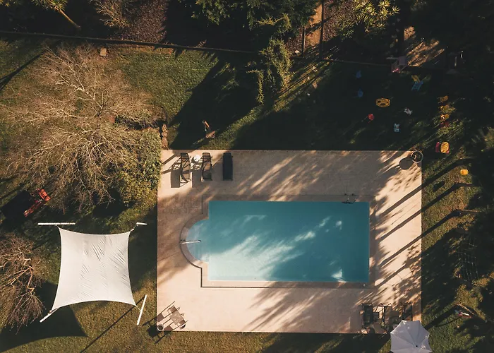 Vale Pisco בומברל